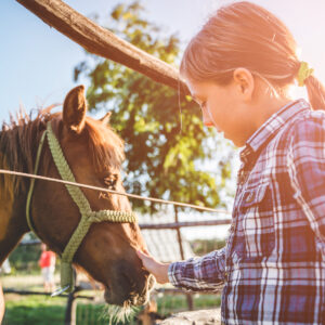 Discover Outdoors Program - AB Learning